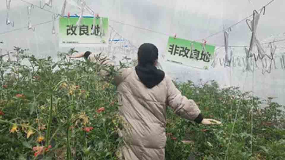 bio-based-soil-amelioration-technology-960